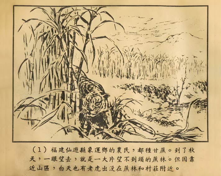 内页3