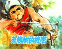 老槐树的秘密