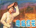 电站红花