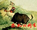 巴扎的新生
