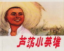 芦荡小英雄